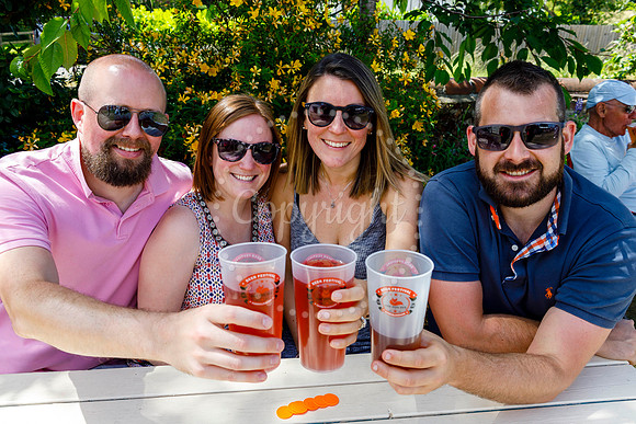 Fox Inn Beer Festival