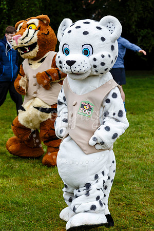 Run Banham Zoo 5K Race