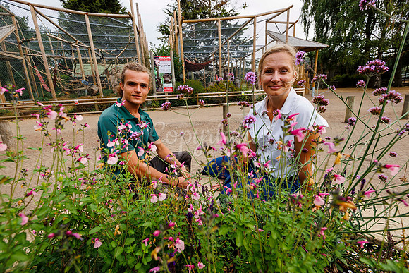 Volunteers have helped to cleared up a green space at Banham Zoo