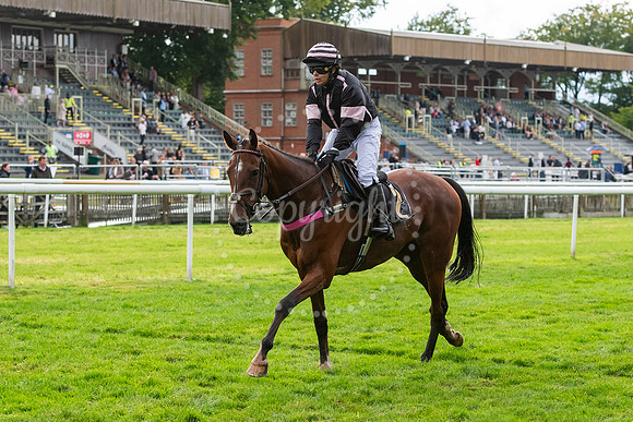 Newmarket July CourseNewmarket Town Plate. Picture by Mark West