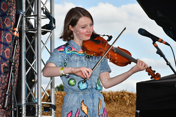 Gate to Southwell Festival