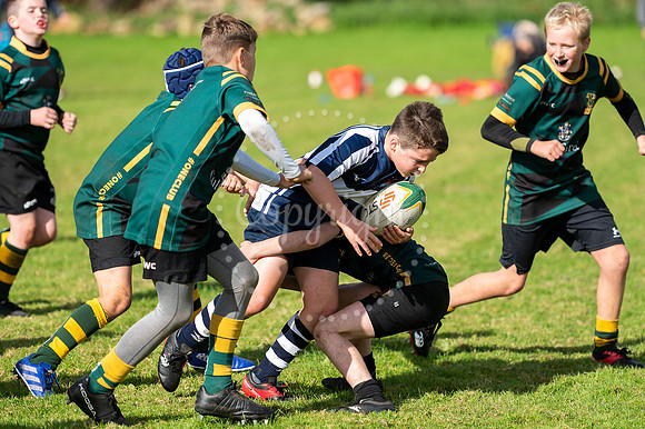 Bury St Edmunds Rugby Club, Southgate Green, Bury St Edmunds Bu
