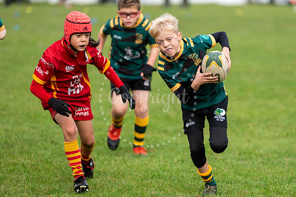 Bury St Edmunds Rugby Club, Southgate Green, Bury St Edmunds Bu
