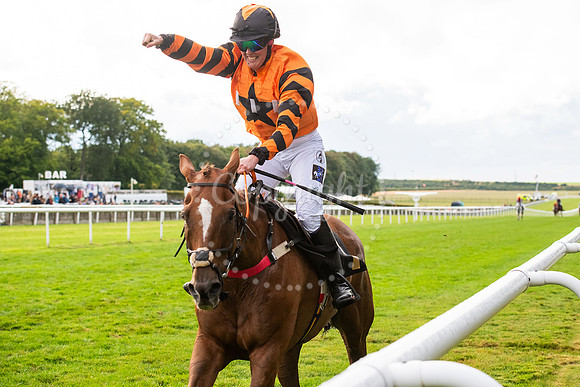 Newmarket July CourseNewmarket Town Plate. Picture by Mark West