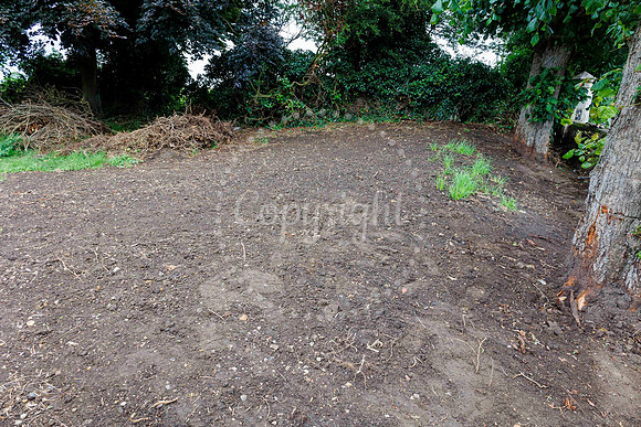 Diss Containimated Land