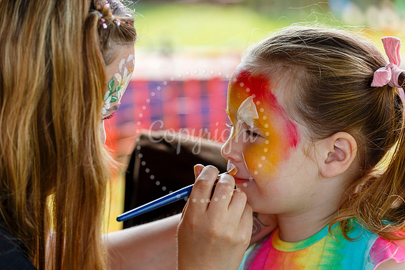 Roydon Summer Fair