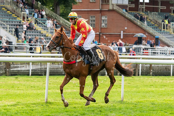Newmarket July CourseNewmarket Town Plate. Picture by Mark West