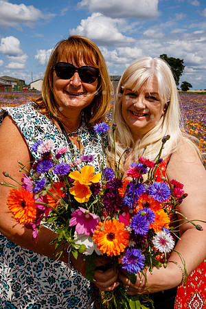 Pulham Market Maize Maze and PYO Wildflowers held at Pulham Patc