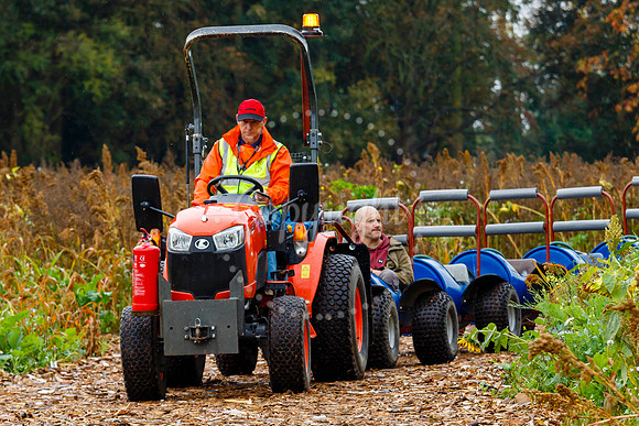 Mrs G’s Pumpkin Patch in Garboldisham opening day