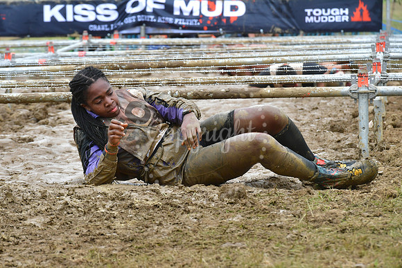 Tough Mudder at Belvoir Castle