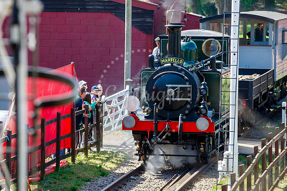 Bressingham Steam Museum annual steam gala