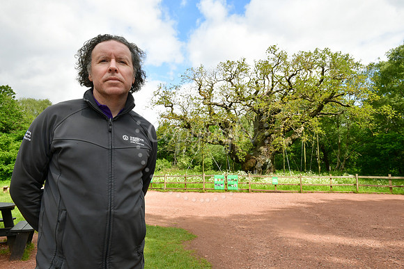 Sherwood Forest Anti-Wildfire capaign