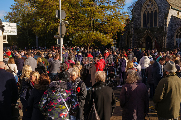 Harleston Annual Remembrance Parade and The Royal British Legion Poppy Appeal