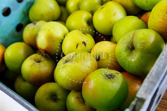 Lopham Farmers Market held at he village hall