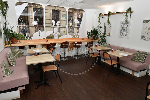 Tree Juice Bar and Wellbeing Studio