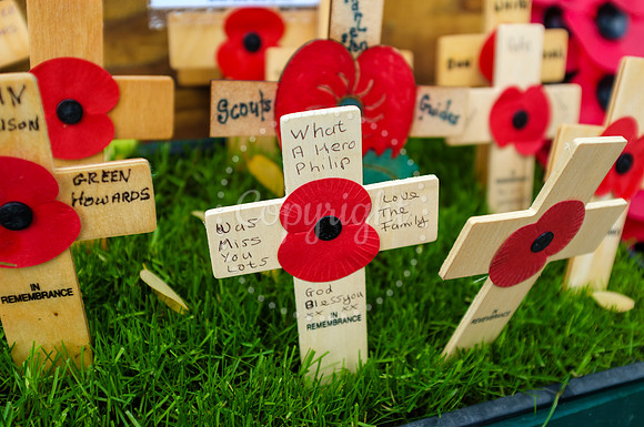 Harleston Annual Remembrance Parade and The Royal British Legion Poppy Appeal