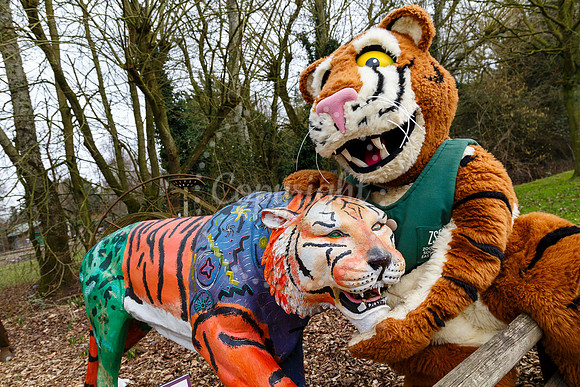 Banham Zoo has offered kids go free during the half term week.