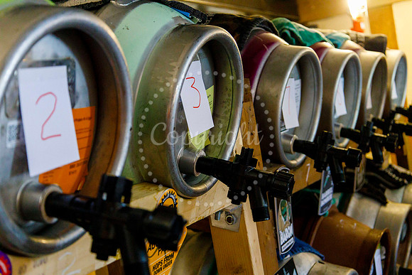 Fox Inn Beer Festival