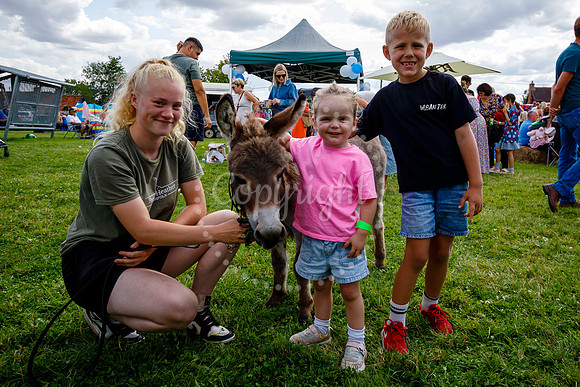 family fun day in aid of Cancer Research UK in Dickleburgh