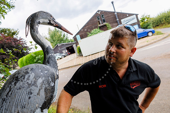 Bird Banksy