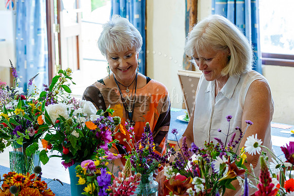 Bressingham and Fersfield Summer Fete