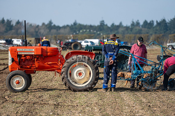 BFP Ampton Hall Estates, Ampton, Suffolk Vintage Ploughing Socie