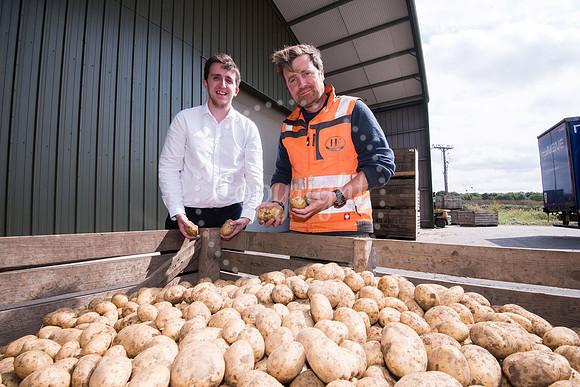 Hall Farm, Fornham St Martin, Ben Robinson farming feature. Pic