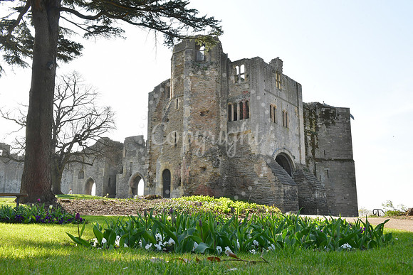 Newark Castle