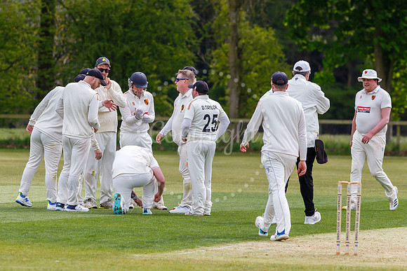 Cricket action from Garboldisham and Diss.