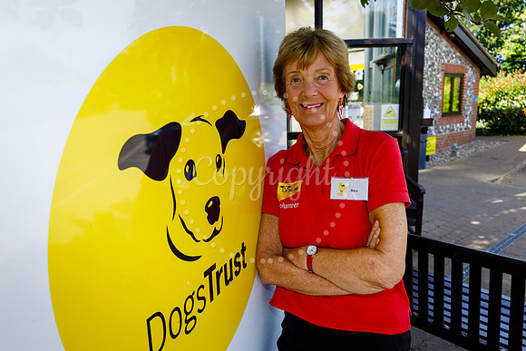 Dogs Trust Snetterton Rehoming Centre