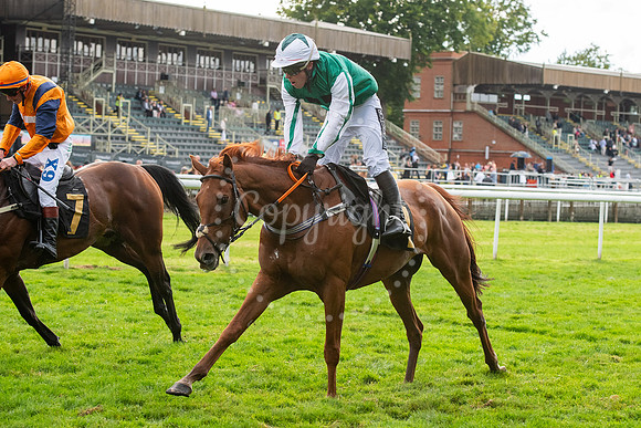 Newmarket July CourseNewmarket Town Plate. Picture by Mark West