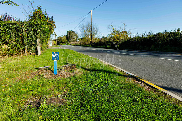 Houses on Eye Road, Brome are continuously being flooded after a