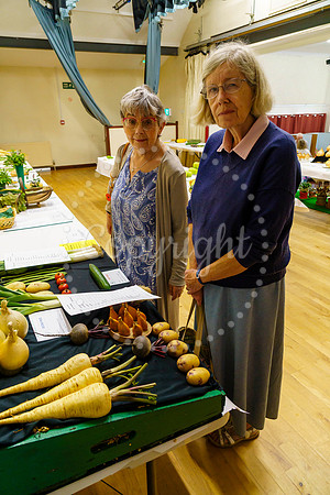Diss and District Horticultural Society Autumn Flower Show