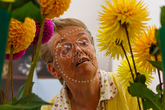Diss and District Horticultural Society Autumn Flower Show