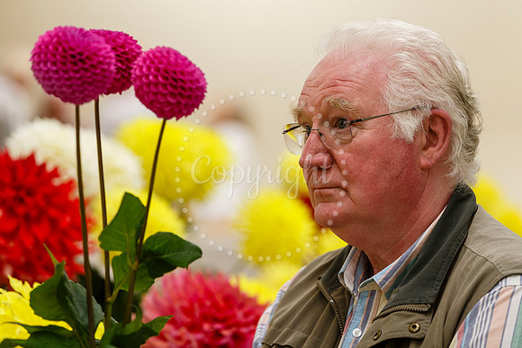 Diss and District Horticultural Society Autumn Flower Show