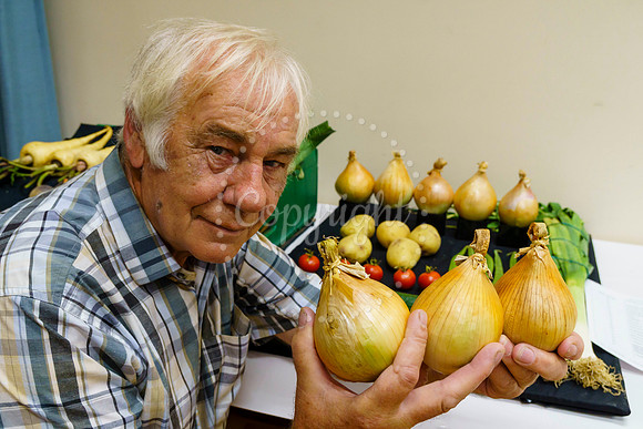Diss and District Horticultural Society Autumn Flower Show