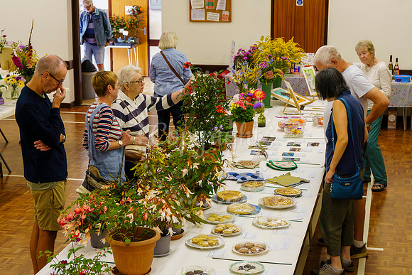 Diss and District Horticultural Society Autumn Flower Show