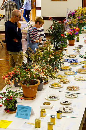 Diss and District Horticultural Society Autumn Flower Show