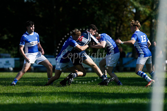 Rugby: Diss v Sudbury II
