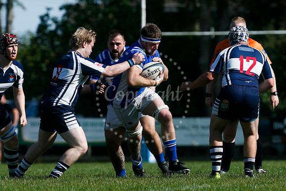 Rugby: Diss v Sudbury II