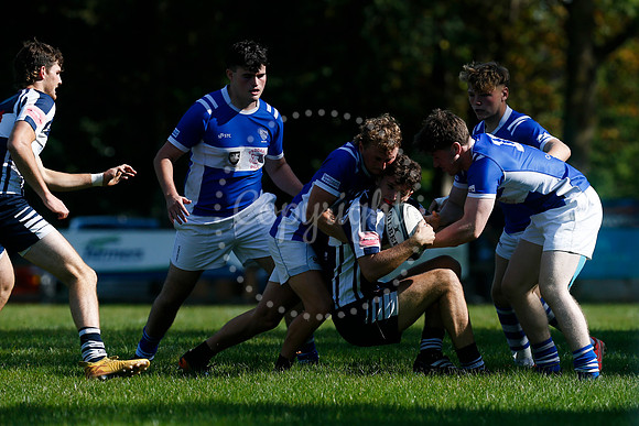 Rugby: Diss v Sudbury II