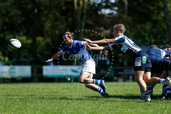 Rugby: Diss v Sudbury II