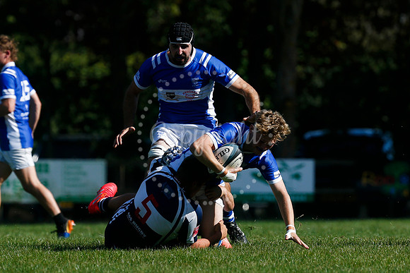 Rugby: Diss v Sudbury II