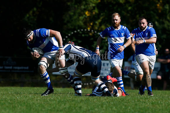 Rugby: Diss v Sudbury II