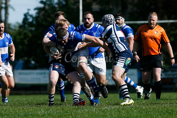 Rugby: Diss v Sudbury II