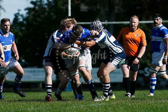 Rugby: Diss v Sudbury II
