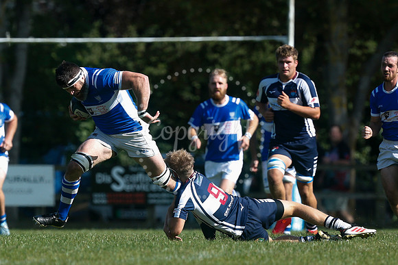 Rugby: Diss v Sudbury II