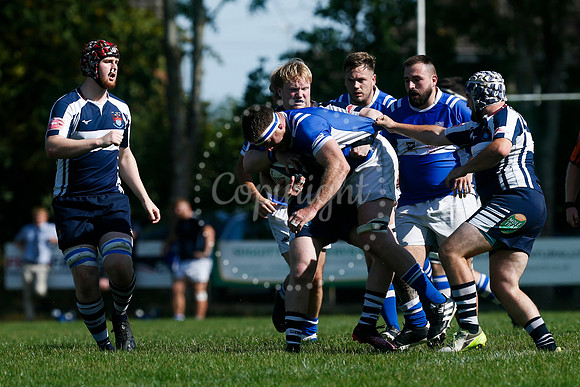 Rugby: Diss v Sudbury II