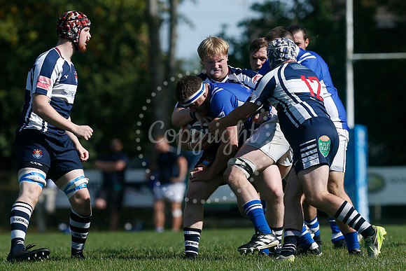 Rugby: Diss v Sudbury II