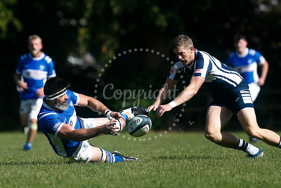 Rugby: Diss v Sudbury II